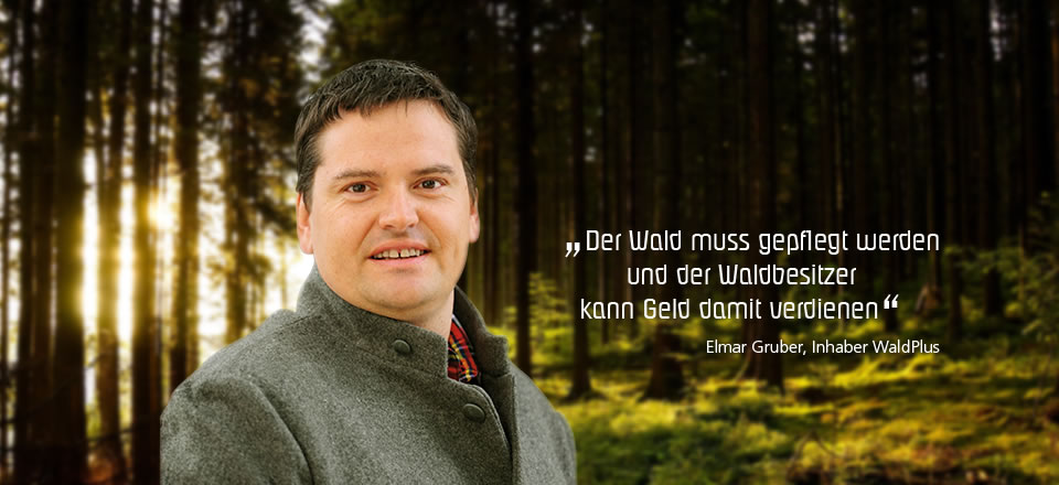 Gruber Elmar, Inhaber von WaldPlus